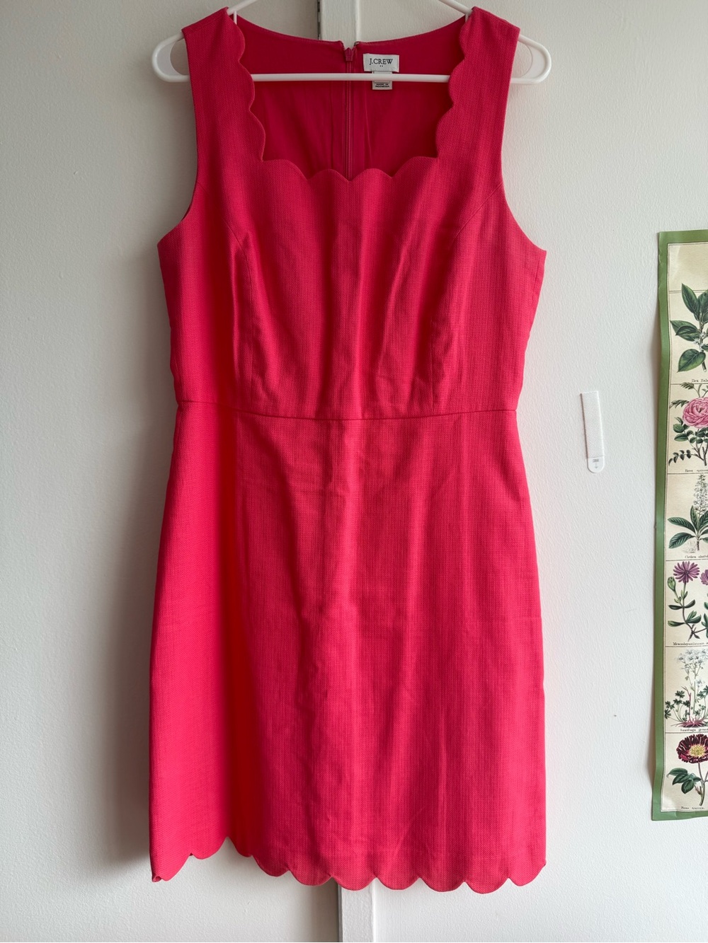J. Crew Hot Pink Scallop Sheath Dress
